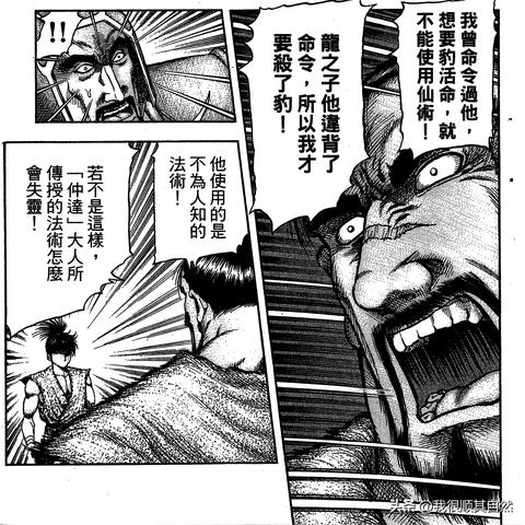 龙狼传最新动态解读