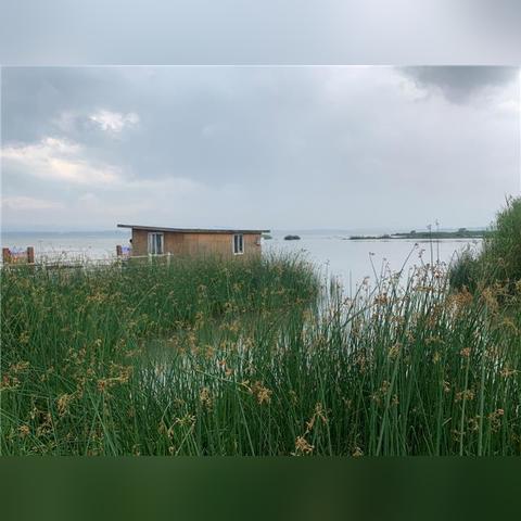 PC游戏大作,璀璨明珠闪耀游戏界