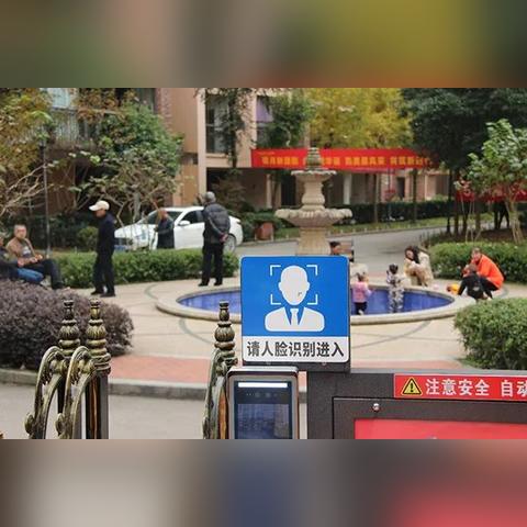 天网深度解析,数据背后的真相揭秘