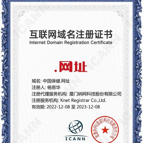 最新顶级域名，互联网未来基石探索