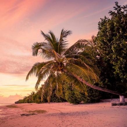 微软最新壁纸,科技与美学的极致融合探索