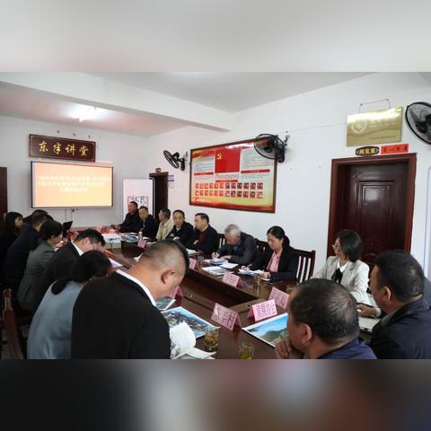 庆元最新新闻报道