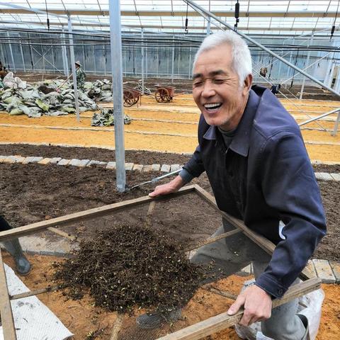 庆元最新新闻报道