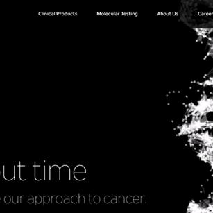 最新投资趋势深度解析,大数据、AI与绿色能源引领风潮