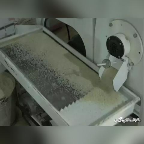 最新辗米机技术，革新农业加工方式