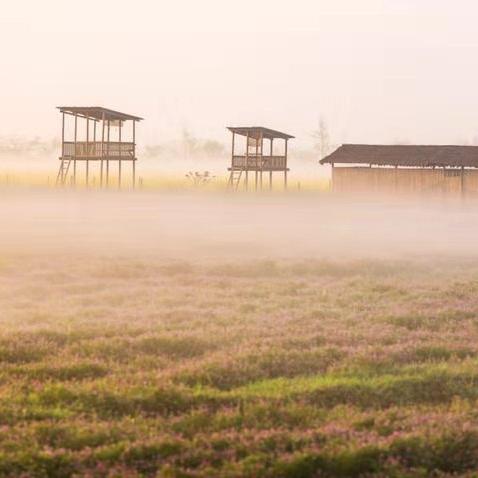 最新辗米机技术,革新农业加工方式