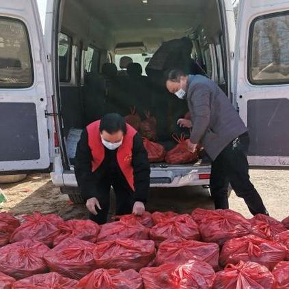 石板菜研究最新报告发布