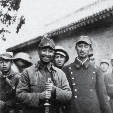 最新死尸案揭秘，数字背后的真相探秘