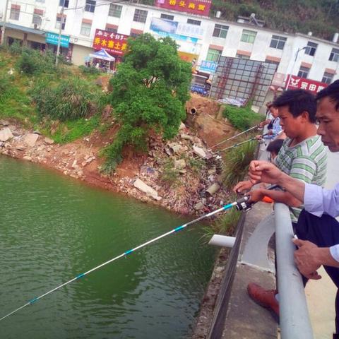 数字时代垂钓新法,揭秘最新钓鱼技巧