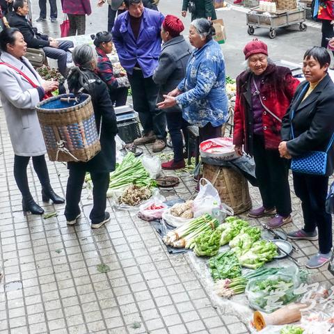 最新鸭子市场行情分析