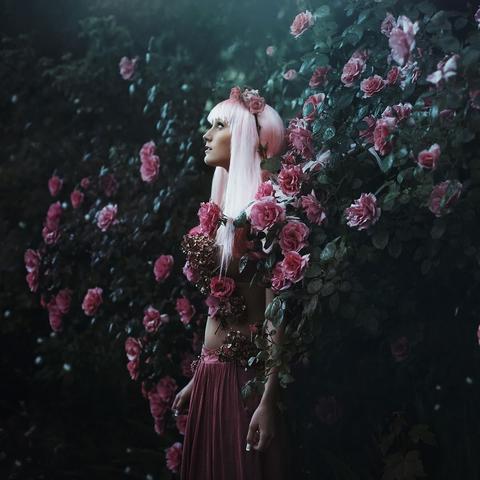 最新照相软件助力摄影爱好者提升体验