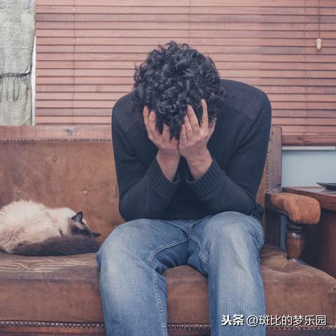 肄业证概述与现状分析简介