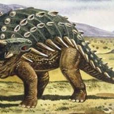 霸王捕鱼科技赋能,引领智能捕捞新动态