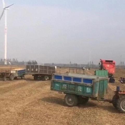 延津最新新闻动态