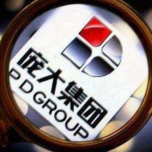 最新公告解读,关于代码601258的全面分析