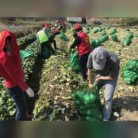 松溪最新新闻报道速递