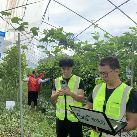 快乐达最新体验，数字时代的惬意生活