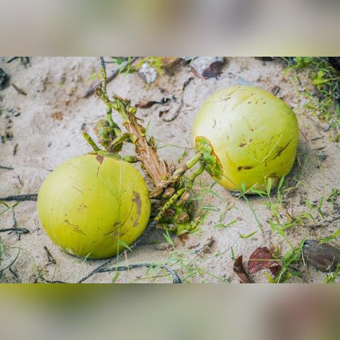 最新捕鱼辅助技术,效率与生态双赢