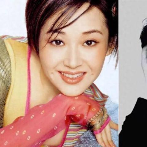 许晴最新动态揭秘，事业高峰与个人生活精彩瞬间（XXXX年XX月回顾）