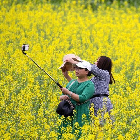 上思县最新新闻报道速递