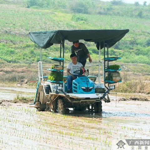 上思县最新新闻报道速递