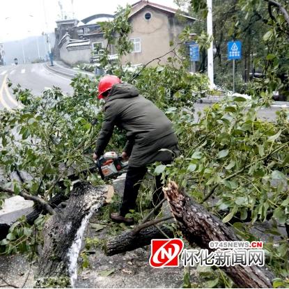 沅江最新新闻动态速递