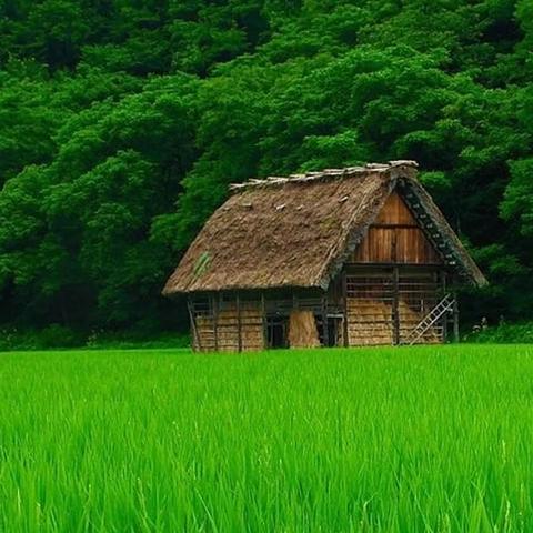 公司新闻 第34页