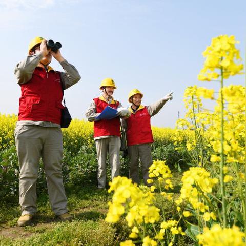 云梦最新新闻动态速递