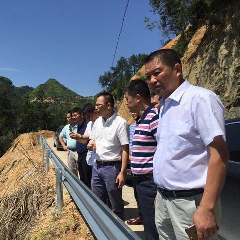 青田最新资讯报道