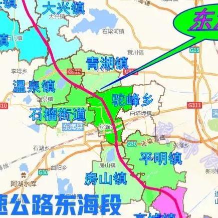 临沭最新招标信息全面解析