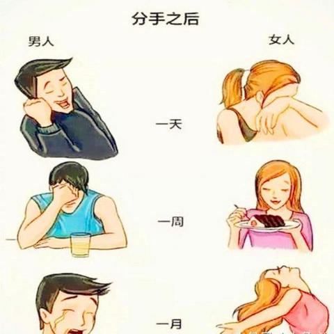 揭秘套路段子背后的真实数据揭秘