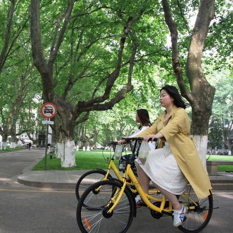 共享单车新规详解，政策解读与要点梳理