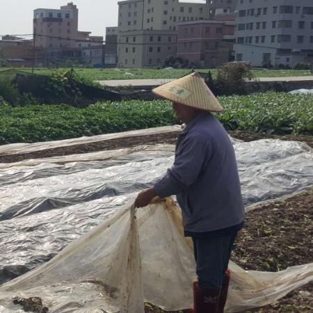 微型智能农业助手,精准种植与高效灌溉革新里程碑