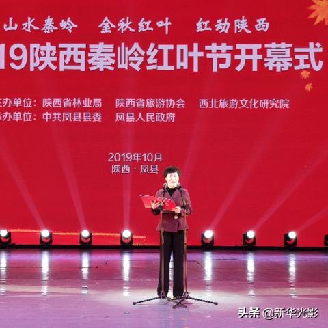 凤县新闻速递,最新报道汇总