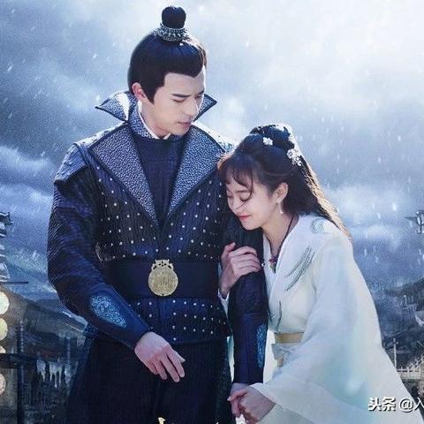 未来宠物产业趋势,情感连接与宠文新宠展望