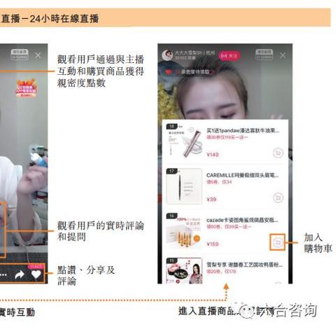 最新上线网站，数字时代的全新领航体验
