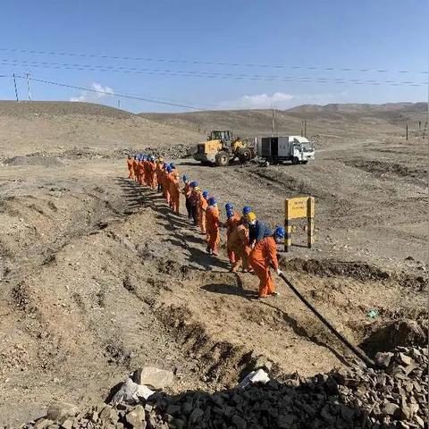 电缆最新价格走势及分析预测