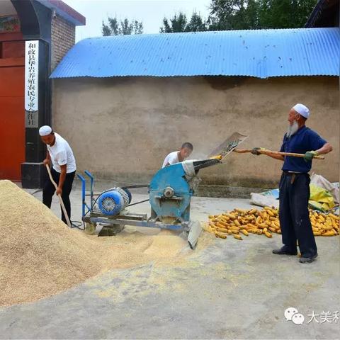 最新马病防治研究与应用