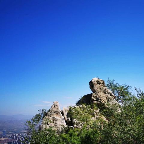 名山最新新闻动态更新