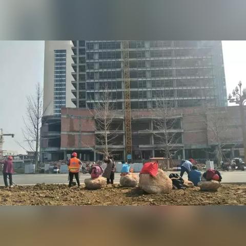 南充北站最新动态，现代化交通枢纽蜕变之旅