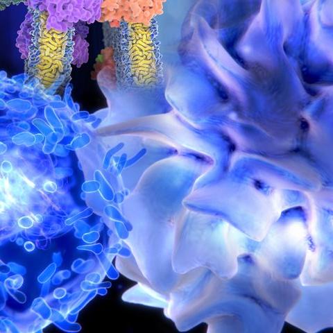 脱发新疗法研究突破,揭示有效性及潜在机制探索