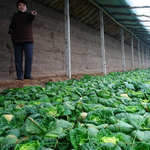 公司新闻 第27页