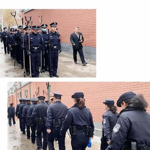 林州独院最新信息总览