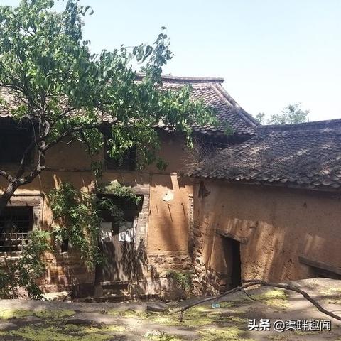 林州独院最新信息总览