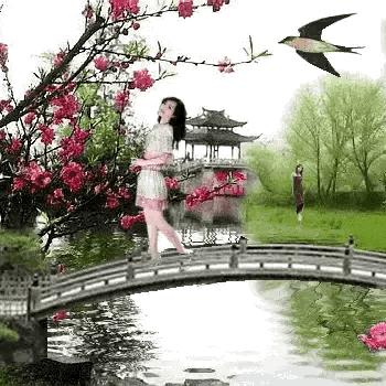 柳叶青青舞蹈，自然之美的极致舞动