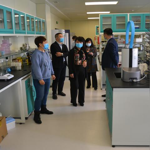 药品研发重大突破,创新药物进展显著新闻