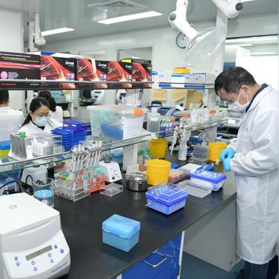 药品研发重大突破,创新药物进展显著新闻