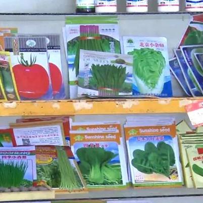 碳铵价格行情最新动态及分析