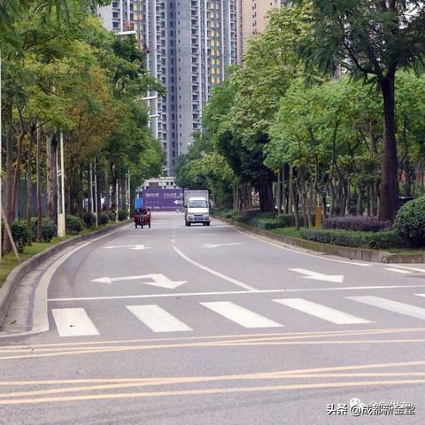 金堂最新楼盘全面解读介绍