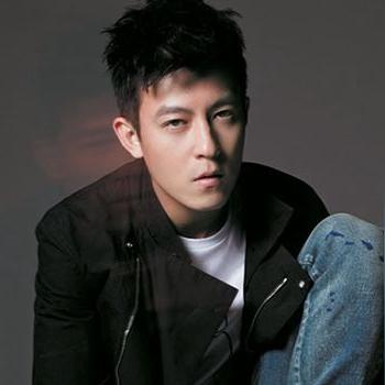 谢霆锋电影大全,最新力作一网打尽